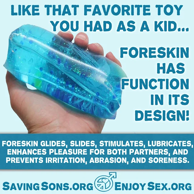 Simplified diagram explaining foreskin gliding and lubrication function.